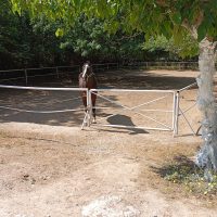 Pyrgos Vasilissis_02